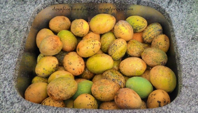 manga ubá cueillete du jour.jpg