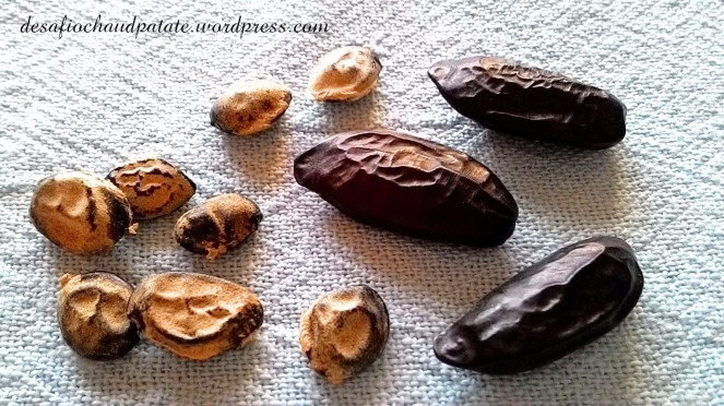 fausse feve tonka chaud patate.jpg