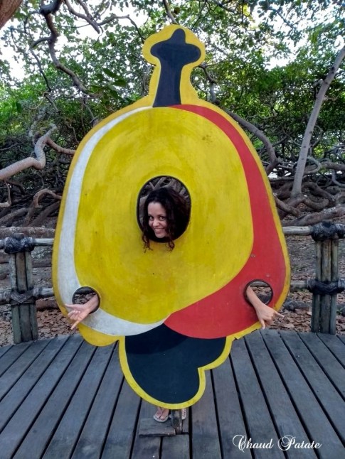 chaud patate anacardier