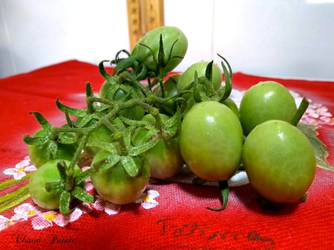 tomates 01 chaud patate