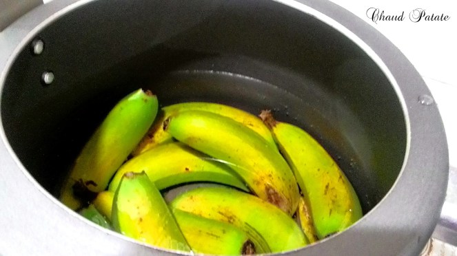 biomasse chaud patate 01