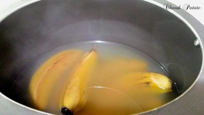 biomasse chaud patate 02