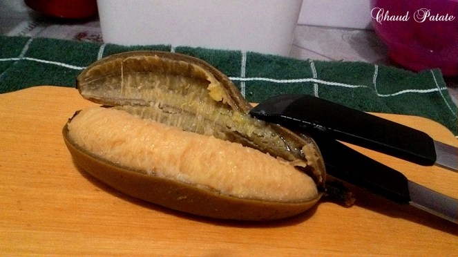 biomasse chaud patate 03