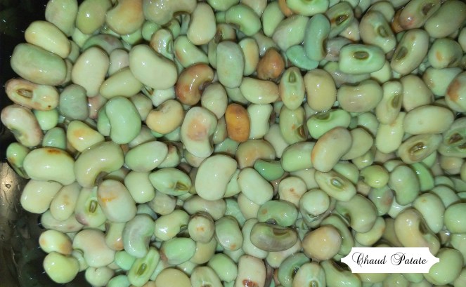 caldo feijao verde 07 haricot frais