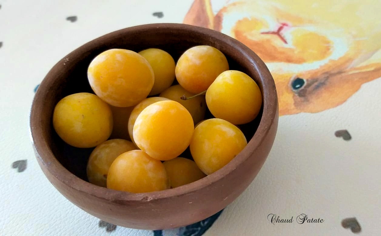 mirabelles chaud patate 02